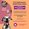 Adema Natural® Zeckilen Forte - Zecken Tabletten – zum Produktbild-Vorschau 5