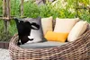MuchoWow® Outdoor Kissen - Farbe - Design - Abstrakt - Produktbild-Vorschau 3