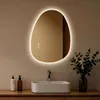 S'AFIELINA Miroir de salle de bain 60×45cm Miroir lumineux Voir les images du produit 3