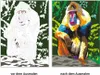 Ravensburger Malen nach Zahlen Wilde Tiere - 32 Motive Produktbild-Vorschau 3