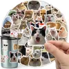 Lustige Katzenaufkleber mit Memes, 50er-Set zum Produktbild-Vorschau 1
