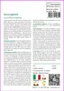SAFLAX  - Zucca gigante  - 7 semi - Cucurbita Anteprima dell’immagine prodotto 3