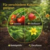 Monokaliumphosphat 3kg MKP Phosphor Kalium P-K Dünger Produktbild-Vorschau 5