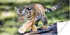 MuchoWow® Poster Tiger - Junge - Baum 120x60 cm - Bild Produktbild-Vorschau 1
