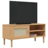 A television set is placed on a wooden TV stand with a rattan-look door and open shelves. Podgląd zdjęcia produktu