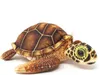 Cornelissen - Doudou - Tortue de mer marron - 25 cm Voir les images du produit 1