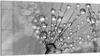 DEQORI Glasbild Echtglas 100x50 cm 'Magische Tautropfen' Produktbild-Vorschau 1