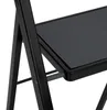 Kovový tříkrokový žebřík, 73,5 × 105,3 cm Náhled obrázku produktu 15