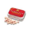 Barkleys Mini Mints Pastylki o smaku cynamonu bez cukru 15g Podgląd zdjęcia produktu 1