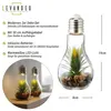 2er Set LED Glühbirne Sukkulenten H19cm Grün Deko Lampe Produktbild-Vorschau 2