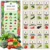 Green Harvest Súprava semien zeleniny – 20 druhov, 20 Náhľad obrázku produktu 1