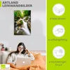 ARTland Leinwandbild Kaskaden eines Baches im Wald Größe: Produktbild-Vorschau 2