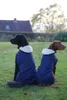 Kentucky Dogwear Hundemantel Original Hundejacke Marine L Anteprima dell’immagine prodotto 4