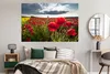 MuchoWow® Poster Mohnblumen gegen einen dramatischen Produktbild-Vorschau 4