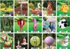 Maiglöckchen auf Stab Gartenflair 1 (90cm) Produktbild-Vorschau 4