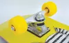 SCHILDKRÖT® 510604 SCHILDKRÖT® Kicker 31 Green Dog Podgląd zdjęcia produktu 6