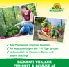 Neudorff BioKraft Vitalkur für Obst und Gemüse AF 500 ml Produktbild-Vorschau 4