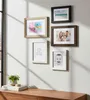 A collection of framed pictures and a plant on a shelf against a white wall. Produktbild-Vorschau