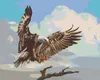 Zuty - Malen nach Zahlen - FLIEGENDER ADLER (D. RUSTY Produktbild-Vorschau 1