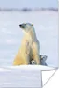 MuchoWow® Poster Eisbär - Schnee - Jungtiere 80x120 cm - Produktbild-Vorschau 1