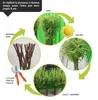 Wicker garden Arbre osier 100 cm - Résistant à l'hiver & Voir les images du produit 4