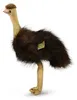 Pluszowy Emu 36 cm Ekologiczny Podgląd zdjęcia produktu 4