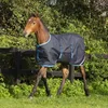 Horseware Ireland Coperta per puledri 50g Amigo Ripstop Anteprima dell’immagine prodotto 4