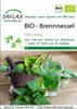 SAFLAX -- Žihľava - Urtica dioica - 2000 Semená Náhľad obrázku produktu 8
