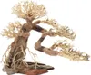 Dupla Bonsai L - handgefertigte Dekoration für Aquarien Produktbild-Vorschau 1