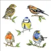 Ambiente Serviette 33 Vogelarten weiß Produktbild-Vorschau 1