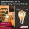 Paulmann 1879 Filament 230V LED Birne Produktbild-Vorschau 2