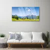 Acrylglasbilder 100x50 Wandbild Druck Felder Bäume Gebirge Produktbild-Vorschau 3