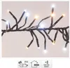 A close-up of a string of LED lights with a white and warm white glow, against a plain background. Icons indicating product features are visible at the bottom. Náhled obrázku produktu