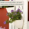 Blumentopf Wand Wandblumentopf Wandvase Anthrazit Produktbild-Vorschau 8