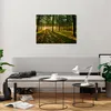 Bilder auf glas - Wald grün Sonnenstrahlen Natur - 70x50cm Produktbild-Vorschau 6