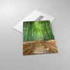 Bilder auf glas - Einteilig - Bambus Pflanze - 50x70cm - Produktbild-Vorschau 2