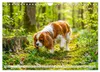 Cavalier King Charles Spaniel - Ein Jahr voller Erlebnisse Produktbild-Vorschau 7