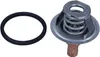 CALORSTAT by Vernet Thermostat + Dichtung Produktbild-Vorschau 2