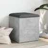 A cube-shaped storage ottoman with a dark gray upholstered top sits on a wooden floor next to a white cushion and a large green plant. Náhled obrázku produktu