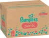A cardboard box of Pampers Premium Care Pants. Produktbild-Vorschau