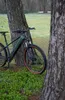An electric mountain bike leans against a tree in a grassy, wooded area. Produktbild-Vorschau
