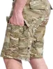 Pentagon Bdu Camo Kurze Hose Beige,Grün 54 Mann Beige,Grün Produktbild-Vorschau 2