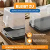 Transportbox Kastenkuchen 43 cm EUROHOME® Produktbild-Vorschau 3