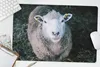 MuchoWow® Schreibtischunterlage Schafe - Tiere - Rinder Produktbild-Vorschau 5