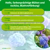 Purgrün Bauernhortensie-Dünger 1 Liter, Produktbild-Vorschau 3