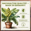 Green Home Bananenerde 72L - Erde für Bananen & Produktbild-Vorschau 5
