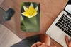 MuchoWow® Mauspad Mousepad Blume - Garten - Gelb 18x27 cm - Produktbild-Vorschau 3