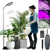 A woman watering plants under a grow light. Produktbild-Vorschau