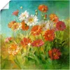 ARTland Poster Gemalte Gänseblümchen Größe: 70x70 cm Produktbild-Vorschau 1