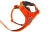 Ruffwear Front Range™ Hundegeschirr Produktbild-Vorschau 3